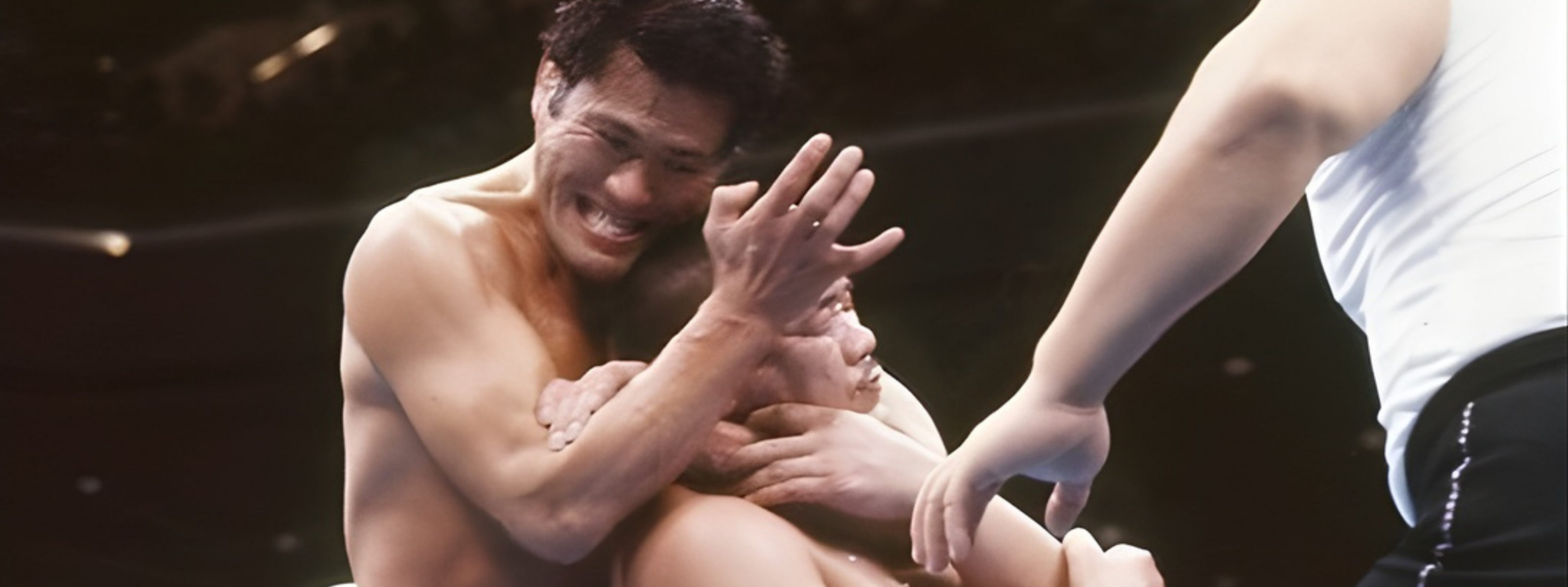 collection-banner-image