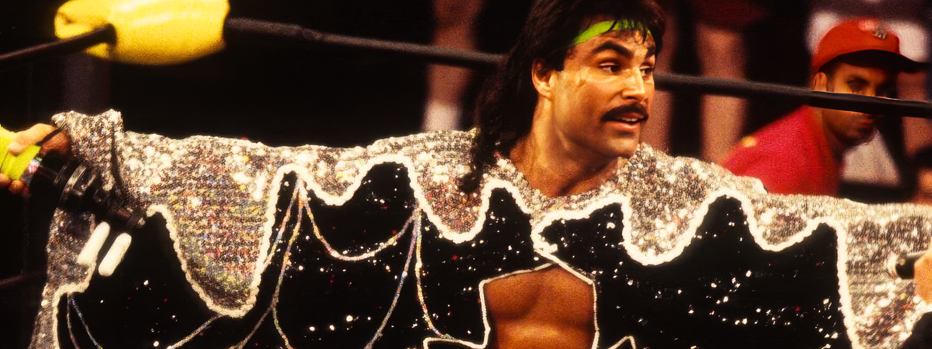 collection-banner-image